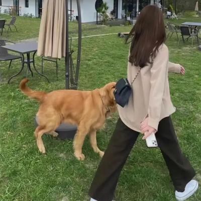 死于女人